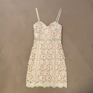 Lulus Lace Mini Dress